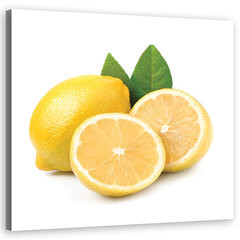 Печать холста, фрукты лимон 39,99 цена и информация | Репродукции, картины | pigu.lt