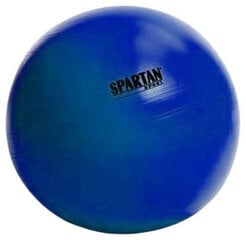 SPARTAN gimnastikos kamuolys 55 cm MĖLYNAS kaina ir informacija | Kitos fitneso prekės | pigu.lt