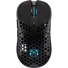 Endorfy Lix Wireless kaina ir informacija | Pelės | pigu.lt