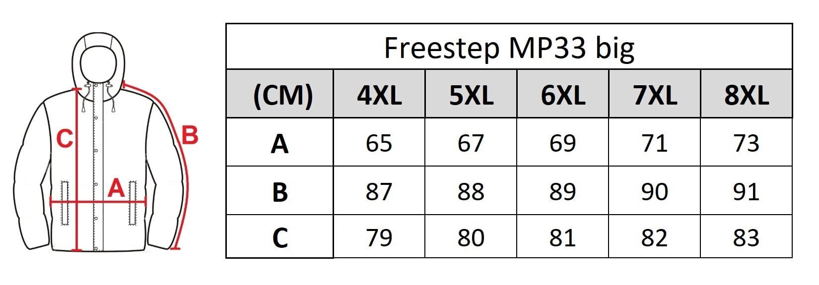 Striukė vyrams Freestep 34, mėlyna kaina ir informacija | Vyriškos striukės | pigu.lt