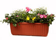 Lovelis gėlėms su laistymo sistema Siesta 19cm kaina ir informacija | Loveliai | pigu.lt