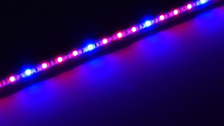 LED akvariumo šviestuvas, 30cm kaina ir informacija | Akvariumai ir jų įranga | pigu.lt
