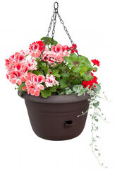 Vazonas gėlėms su laistymo sistema Uno Siesta 19cm kaina ir informacija | Vazonai | pigu.lt