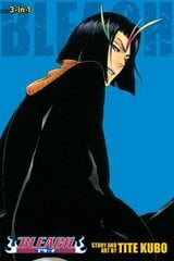 Bleach 3-in-1 Edition, Vol. 13: Includes vols. 37, 38 & 39 kaina ir informacija | Fantastinės, mistinės knygos | pigu.lt