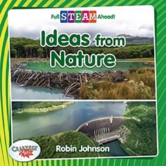 Ideas from Nature цена и информация | Книги для подростков и молодежи | pigu.lt
