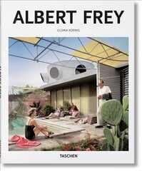 Albert Frey цена и информация | Книги об архитектуре | pigu.lt