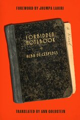 Forbidden Notebook: A Novel kaina ir informacija | Fantastinės, mistinės knygos | pigu.lt