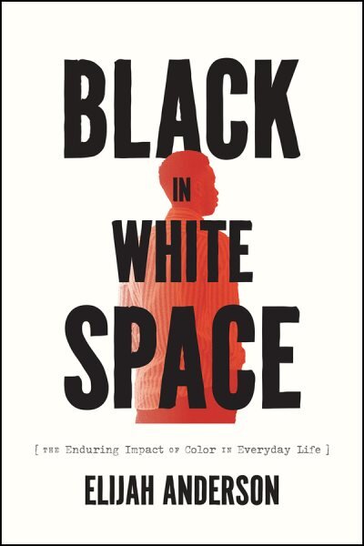 Black in White Space: The Enduring Impact of Color in Everyday Life kaina ir informacija | Socialinių mokslų knygos | pigu.lt