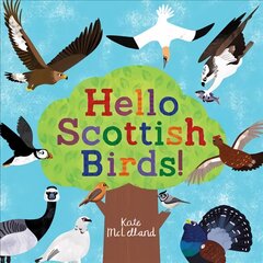 Hello Scottish Birds цена и информация | Книги для самых маленьких | pigu.lt