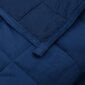 VidaXL sunki antklodė, 200x220cm цена и информация | Antklodės | pigu.lt