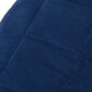 VidaXL sunki antklodė, 200x230cm цена и информация | Antklodės | pigu.lt