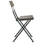 Sulankstomos bistro kėdės vidaXL, pilkos kaina ir informacija | Lauko kėdės, foteliai, pufai | pigu.lt