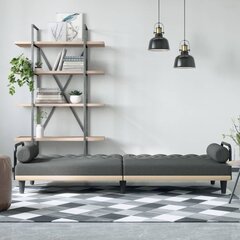 Sofa-lova su porankiais vidaXL, pilka цена и информация | Диваны | pigu.lt