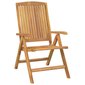 Atlošiamos sodo kėdės vidaXL kaina ir informacija | Lauko kėdės, foteliai, pufai | pigu.lt