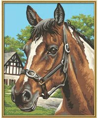 Tapyba pagal skaičius Schipper KIDS Horse Portrait MNZ, 24 x 30 cm kaina ir informacija | Tapyba pagal skaičius | pigu.lt