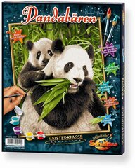 Картина по номерам Schipper Panda Bears MNZ, 24 x 30 см цена и информация | Набор для рисования по номерам | pigu.lt