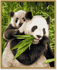 Картина по номерам Schipper Panda Bears MNZ, 24 x 30 см цена и информация | Набор для рисования по номерам | pigu.lt