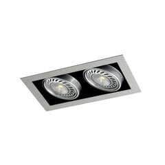 Kardan Tecno 2 светильника AR111 алюминиевая отделка цена и информация | Монтируемые светильники, светодиодные панели | pigu.lt