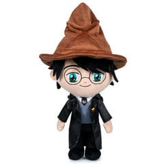 Harry Potter First Year Harry цена и информация | Атрибутика для игроков | pigu.lt