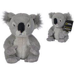Pliušinis žaislas Koala National Geographic, 25cm цена и информация | Мягкие игрушки | pigu.lt