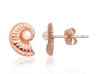 Auksiniai auskarai moterims 1201401000043 kaina ir informacija | Auskarai | pigu.lt