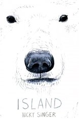 Island цена и информация | Книги для подростков  | pigu.lt