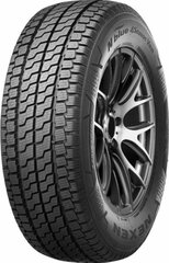 Nexen N'blue 4 Season Van 195/60R16C 99 H kaina ir informacija | Universalios padangos | pigu.lt