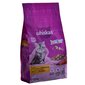 Whiskas Junior katėms su vištiena, 1.4 kg kaina ir informacija | Sausas maistas katėms | pigu.lt