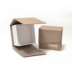 Серебряные серьги ''Spark'' SAKW448310MJB цена и информация | Серьги | pigu.lt