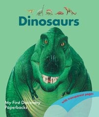 Dinosaurs цена и информация | Книги для подростков и молодежи | pigu.lt