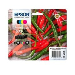 Картридж с оригинальными чернилами Epson 503XL Разноцветный цена и информация | Картриджи для струйных принтеров | pigu.lt