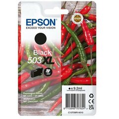 Epson 503XL, черный цена и информация | Картриджи для струйных принтеров | pigu.lt