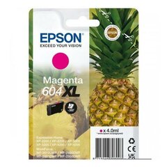 Epson 604XL, розовый цена и информация | Картриджи для струйных принтеров | pigu.lt