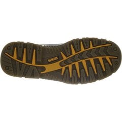 Обувь для безопасности Dewalt Titanium Коричневый Мед 46 цена и информация | Мужские кроссовки | pigu.lt