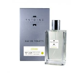 Духи для тела Antoine Cedre EDT, 100 мл цена и информация | Мужские духи | pigu.lt