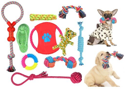 Šunų žaislų rinkyns, 10vnt цена и информация | Žaislai šunims | pigu.lt