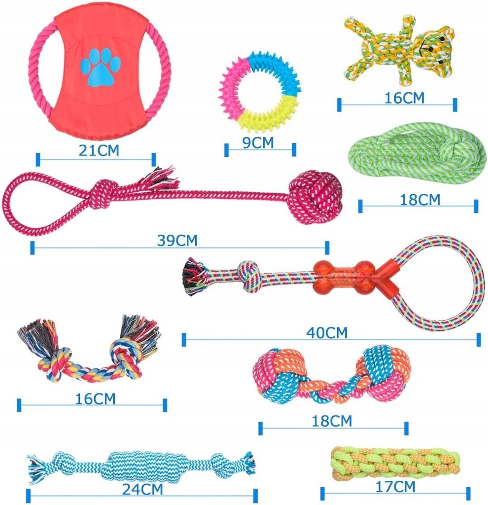 Šunų žaislų rinkyns, 10vnt цена и информация | Žaislai šunims | pigu.lt