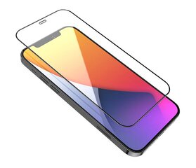 Apsauginė plėvelė Baseus skirta iPhone 12/12Pro kaina ir informacija | Apsauginės plėvelės telefonams | pigu.lt