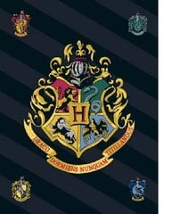 Harry Potter pledas, 100x140 cm kaina ir informacija | Lovatiesės ir pledai | pigu.lt