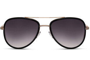 Солнцезащитные очки Label L6259, UV400 цена и информация | Солнцезащитные очки для мужчин | pigu.lt