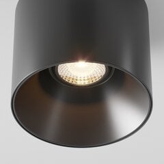 Технический потолочный светильник Maytoni Alfa LED C064CL-01-15W3K-RD-B, черный цена и информация | Потолочные светильники | pigu.lt