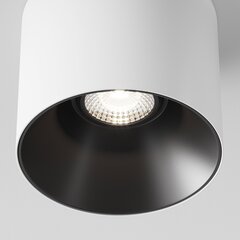 Технический потолочный светильник Maytoni Alfa LED C064CL-01-25W4K-D-RD-WB цена и информация | Потолочные светильники | pigu.lt