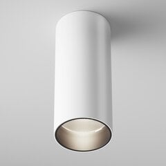 Maytoni Технический потолочный светильник FOCUS LED C056CL-L12W4K-W-W Белый цена и информация | Потолочные светильники | pigu.lt