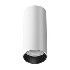 Maytoni Технический потолочный светильник FOCUS LED C056CL-L12W3K-W-D-W Белый цена и информация | Потолочные светильники | pigu.lt