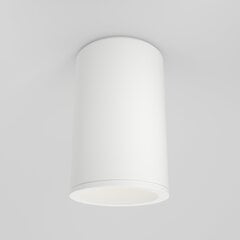 Maytoni Технический потолочный светильник Zoom C029CL-01-S-W Белый цена и информация | Потолочные светильники | pigu.lt