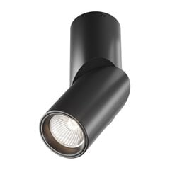 Технический потолочный светильник Maytoni Dafne C027CL-L10B4K цена и информация | Потолочные светильники | pigu.lt