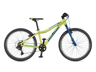 Детский велосипед Author Limit 24'', зелёный/синий цена и информация | Велосипеды | pigu.lt