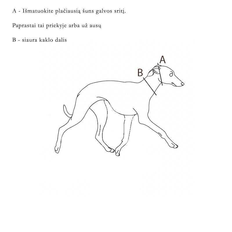 Platus antkaklis šunims, margas kaina ir informacija | Antkakliai, petnešos šunims | pigu.lt