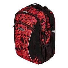 Herlitz рюкзак Ultimate - Graffiti, 24 л цена и информация | Школьные рюкзаки, спортивные сумки | pigu.lt