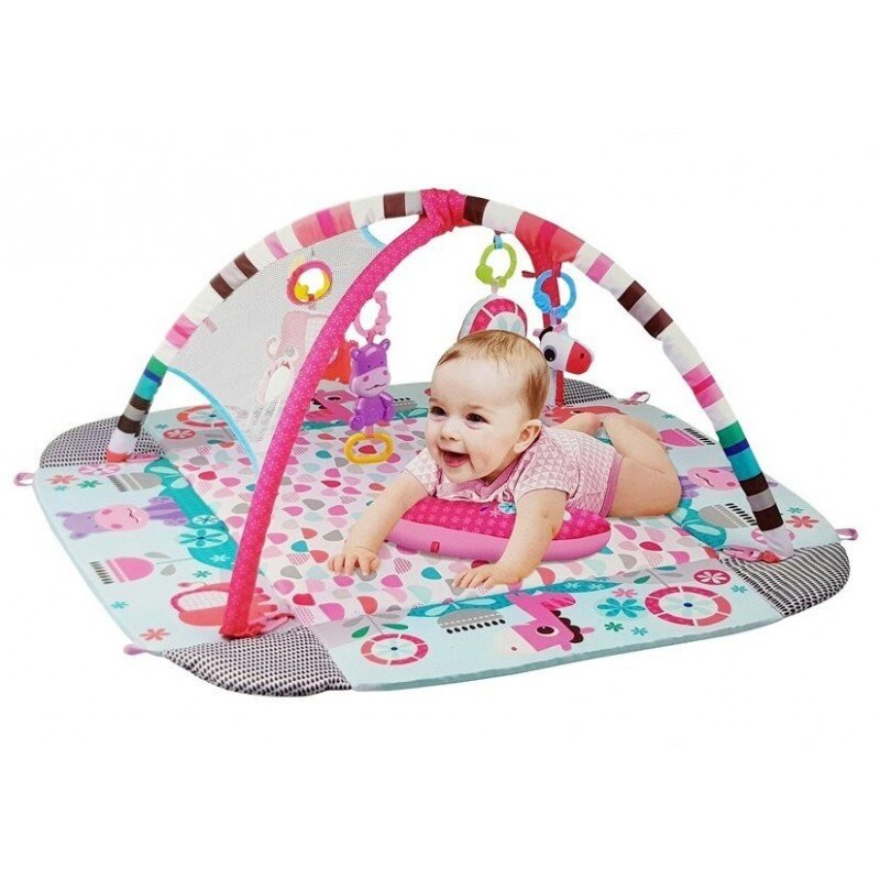 Veiklos kilimėlis 5in1 Hippo kaina ir informacija | Žaislai kūdikiams | pigu.lt